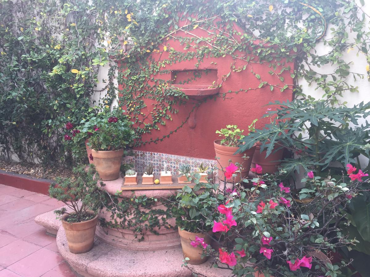 Alcatraz Hostal San Miguel de Allende Dış mekan fotoğraf