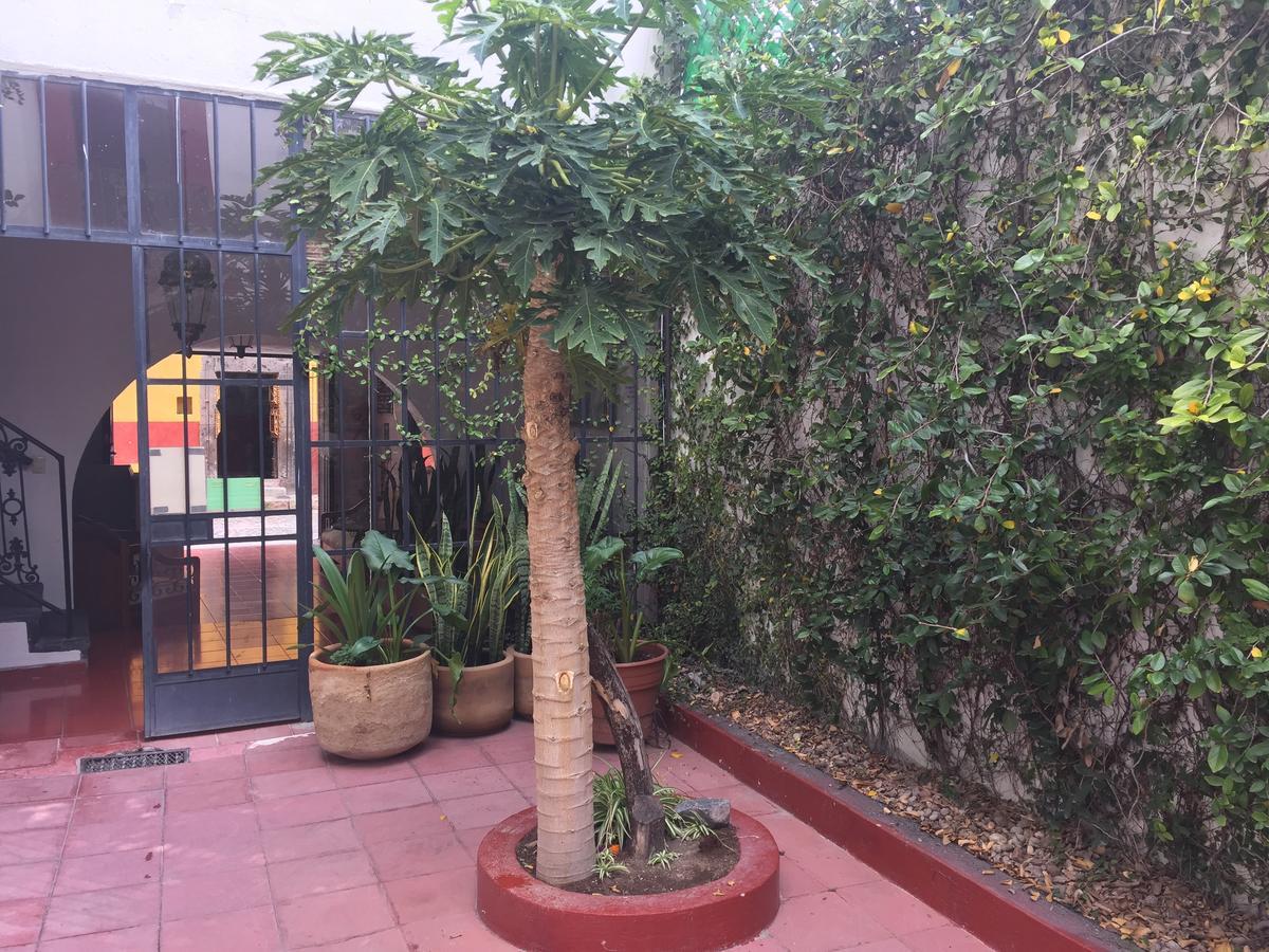 Alcatraz Hostal San Miguel de Allende Dış mekan fotoğraf